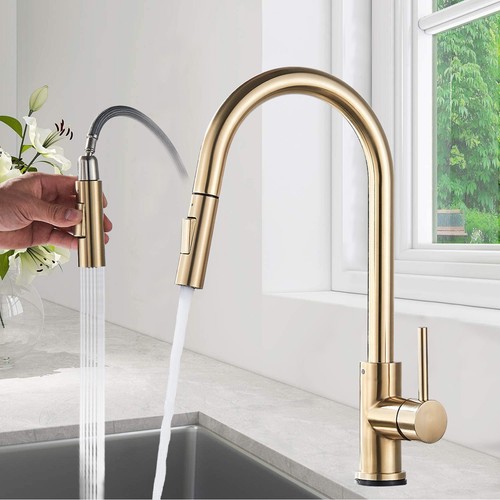 Kitchen taps pull - pull, spray